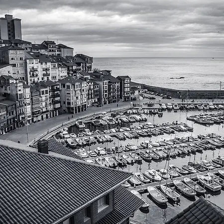 Andra Mari Portua Ebi0212 Y Ebi1293