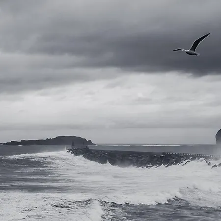 Apartamento Andra Mari Portua Ebi0212 Y Ebi1293 Bermeo